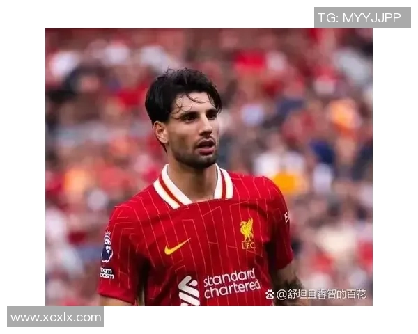 索博斯洛伊的历史与文化探秘：揭开这座城市的神秘面纱与独特魅力